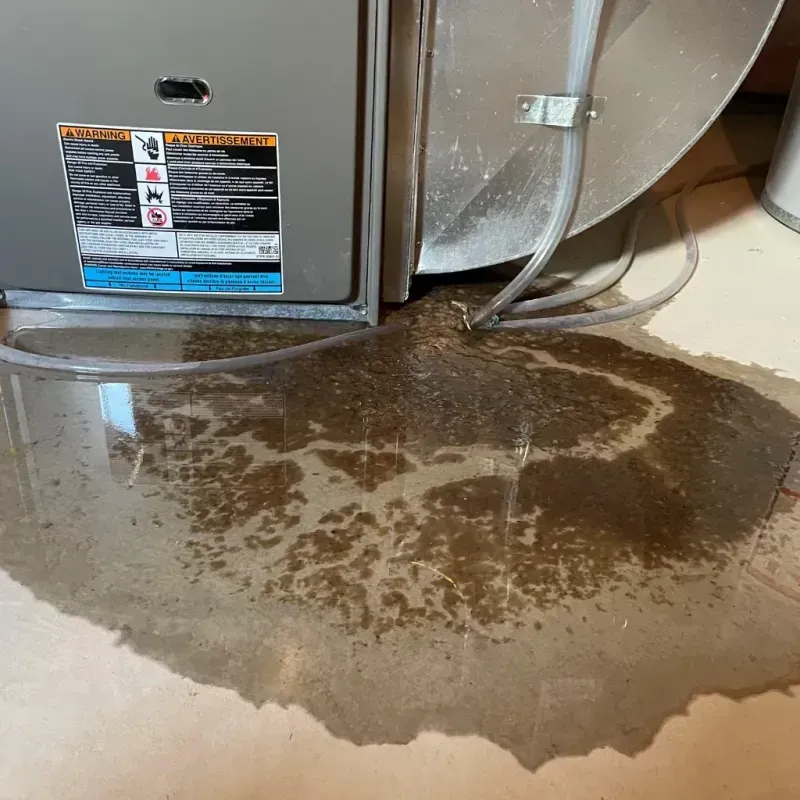 Appliance Leak Cleanup in Clinton, ME